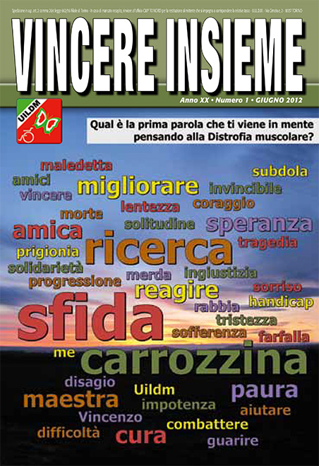 VINCERE-INSIEME-2012-1-cover