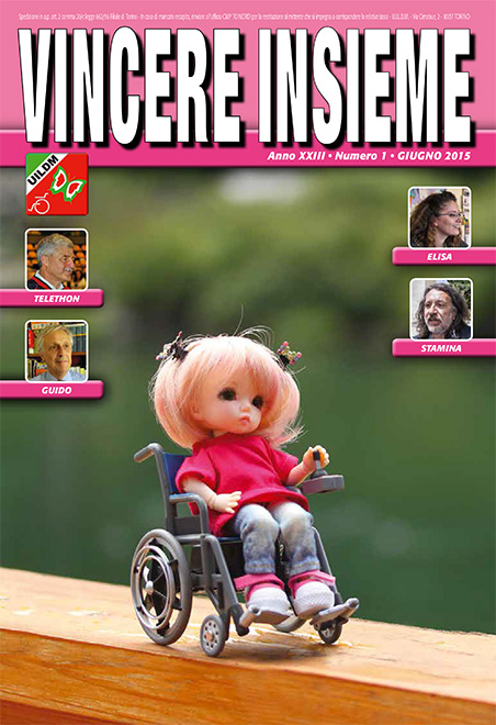 VINCERE-INSIEME-2015-1-cover