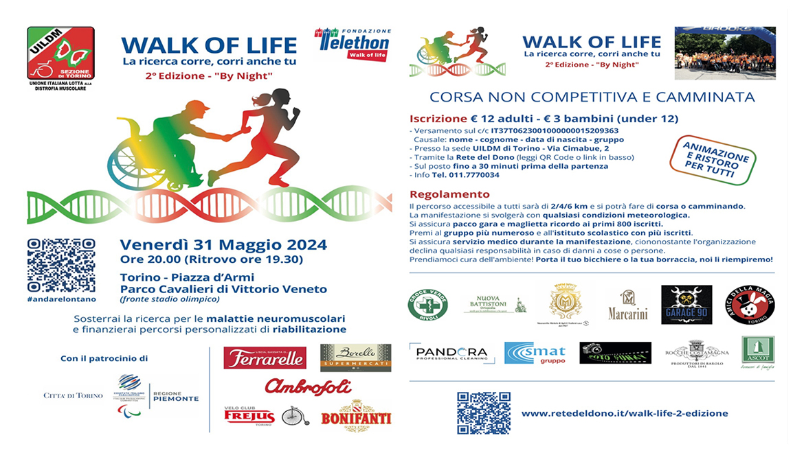 Walk of Life 2024 versione by night a Torino